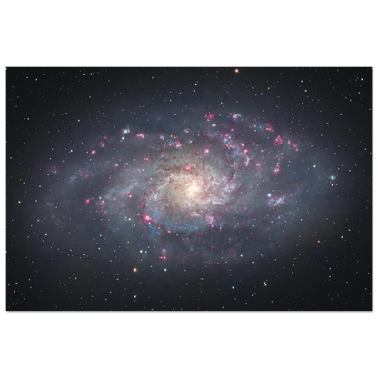 10ffbf67-a5de-41ab-a93a-f2d9e84148b1