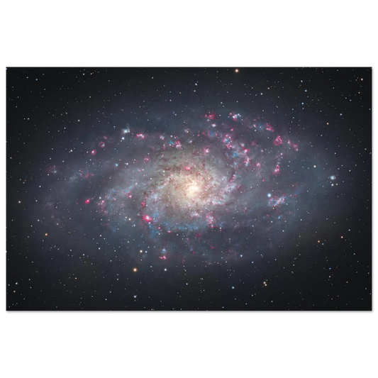 10ffbf67-a5de-41ab-a93a-f2d9e84148b1