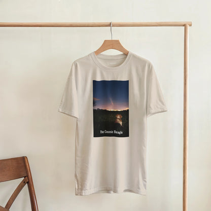 1ccd093c-b337-46e5-8b95-c900563d7f9e