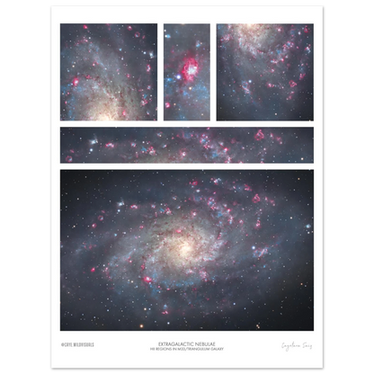 29fe7cd7-c707-49fa-90c3-f9c664d4bcde