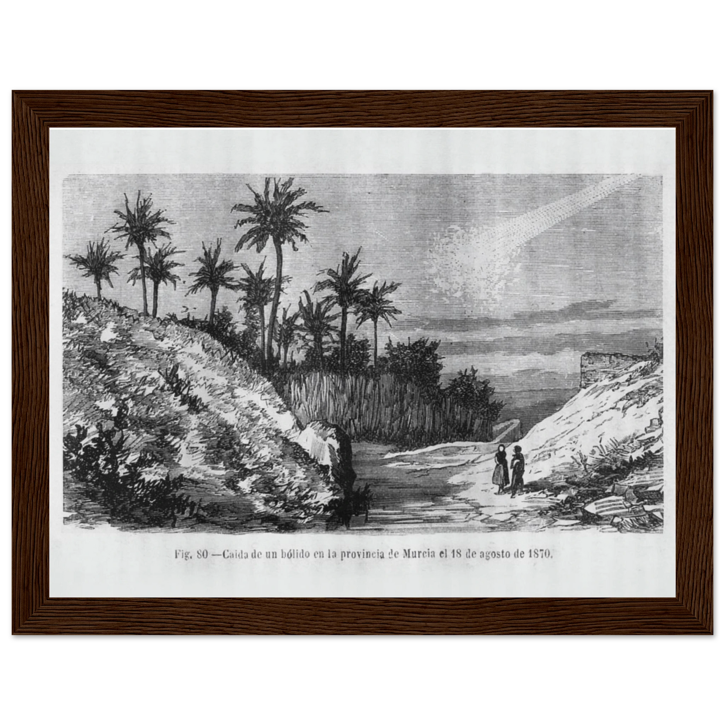 3ddbd905-b349-4f81-ace3-a9529acaf300