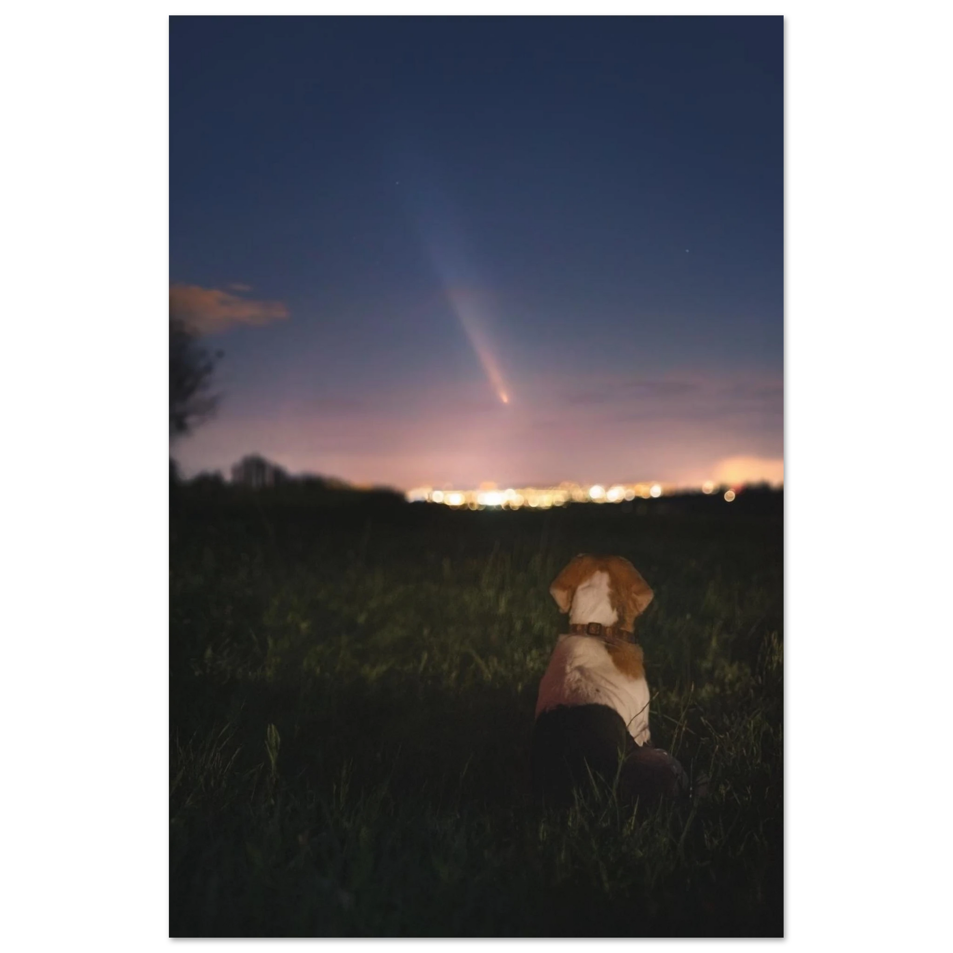 95347093-e1e4-4d05-bb5f-c4b9663eb20d