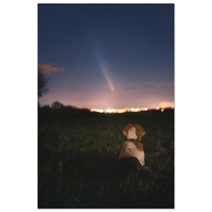 95347093-e1e4-4d05-bb5f-c4b9663eb20d