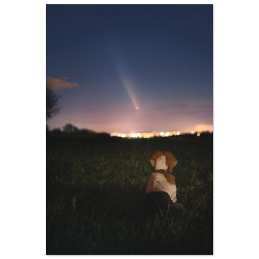 95347093-e1e4-4d05-bb5f-c4b9663eb20d