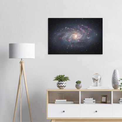 9b6a9d15-7237-4740-b5c6-33ef3c778d17