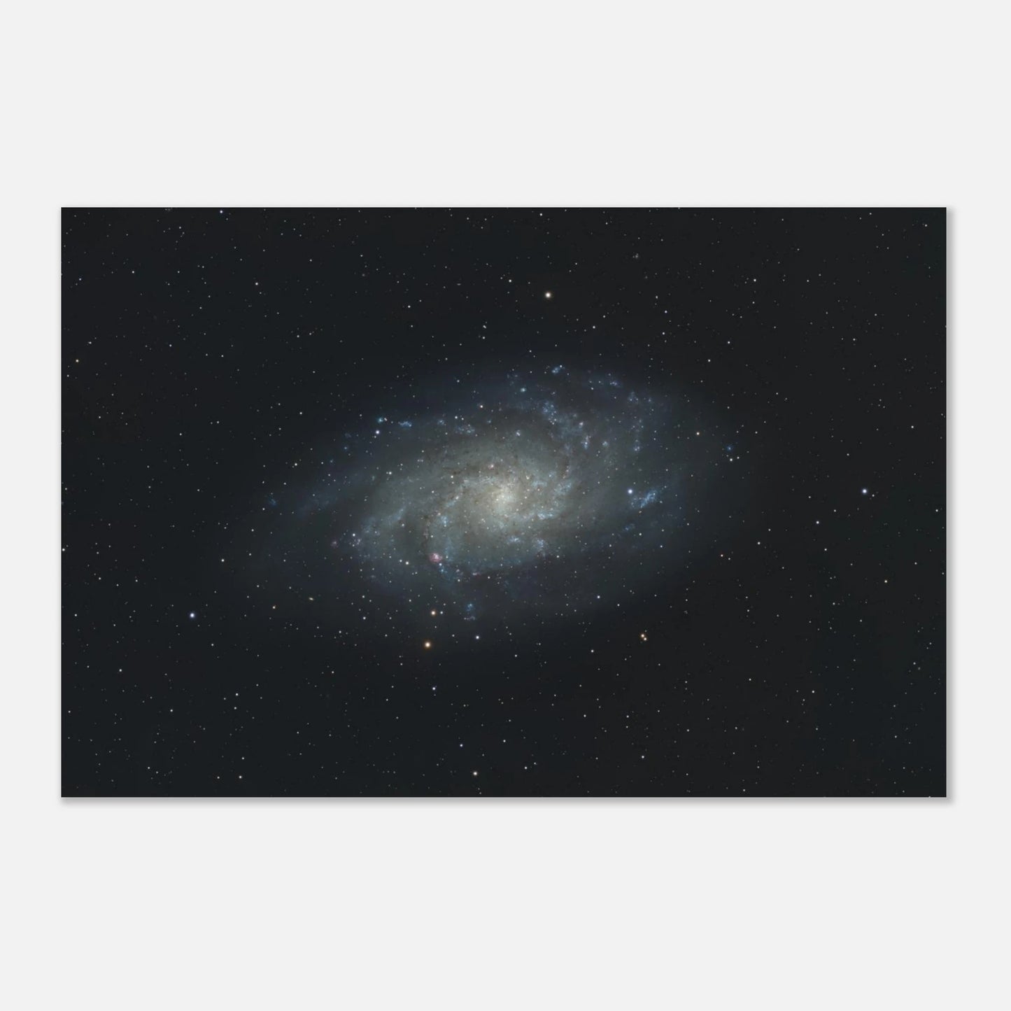 aa3dca11-296e-4057-8063-9c7ab9a77b6c