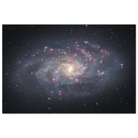 c5112adb-dd2f-4df5-9916-bbda2e669433