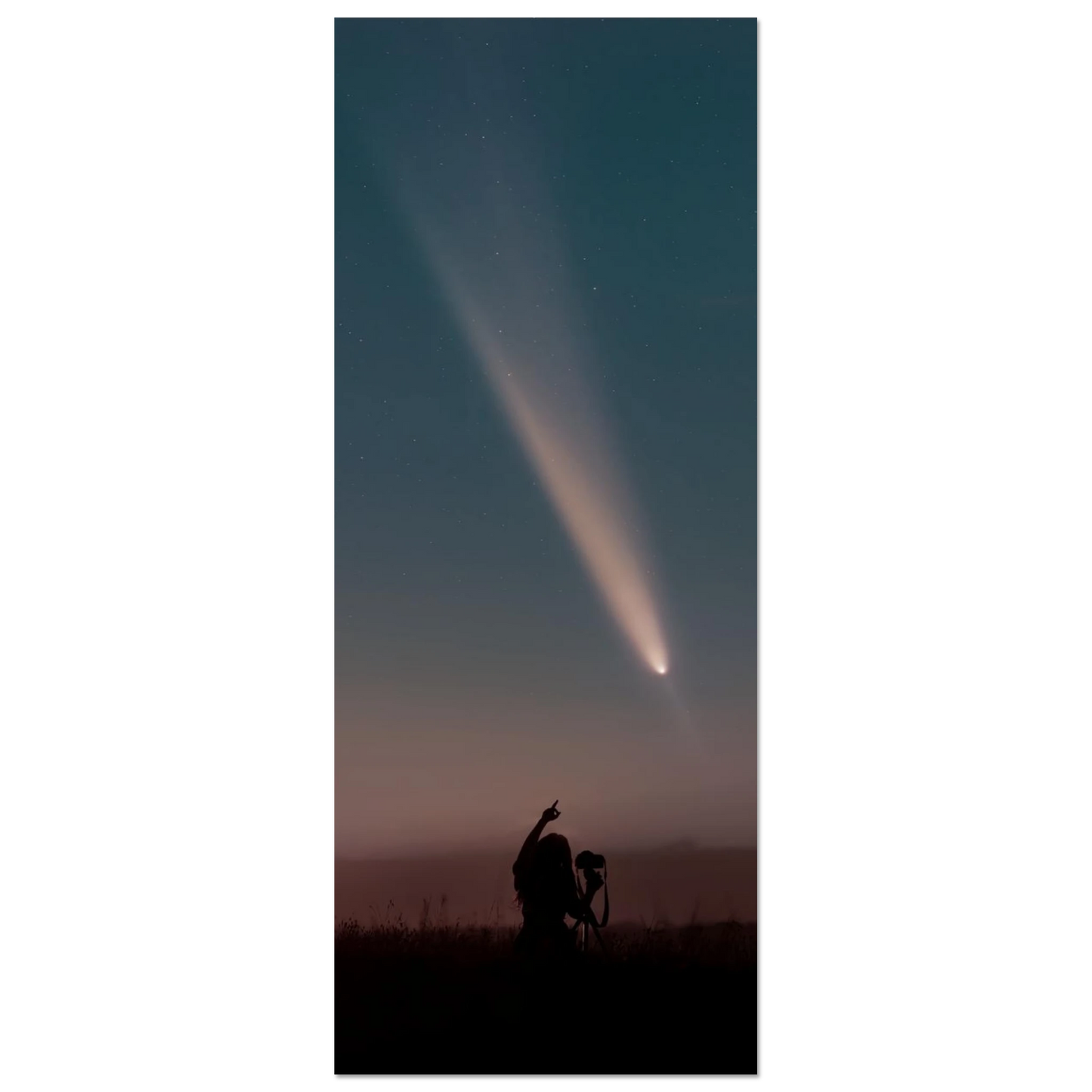 ed7bdf82-a0d3-4793-b454-46441d52f4bf