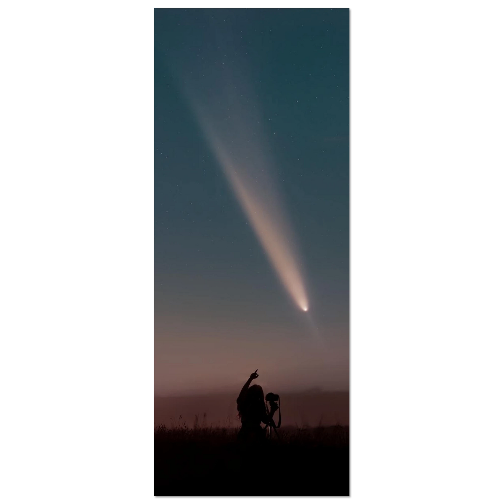 ed7bdf82-a0d3-4793-b454-46441d52f4bf