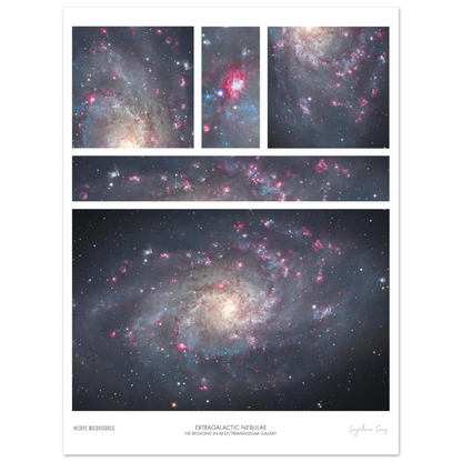 f8912369-2029-4202-8850-7dac8e01c9e7